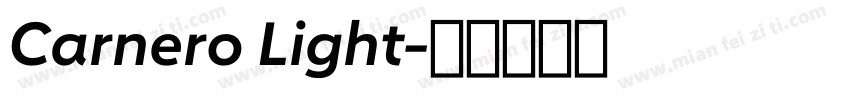 Carnero Light字体转换